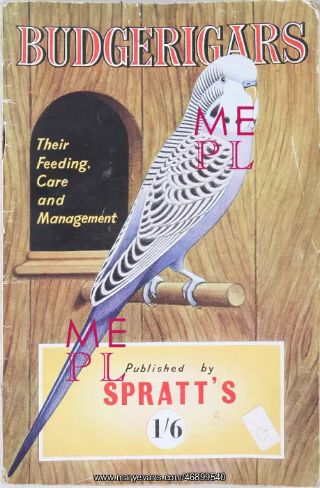 : 1950s, 1960s, Spratt's Budgerigars, book, pets : 1950s, 1960s, Spratt's Budgerigars, book, pets