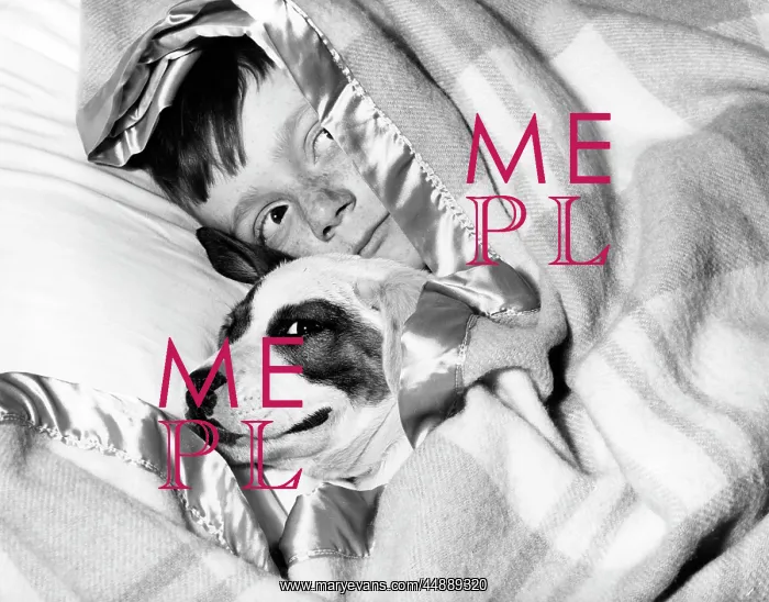  : 1950s BOY HIDING UNDER BLANKET IN BED WITH DOG