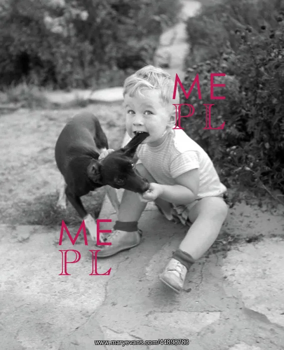  : 1950s BOY SITTING ON GROUND BITING EAR OF PUPPY