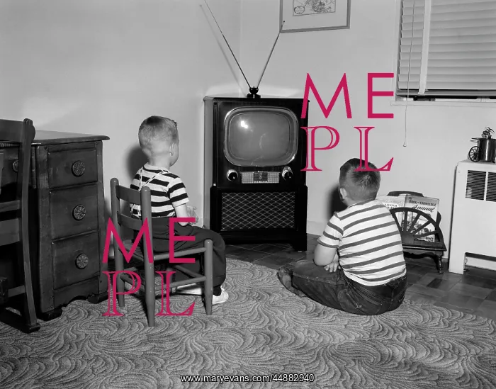  : 1950s Two Boys Sitting In Living
