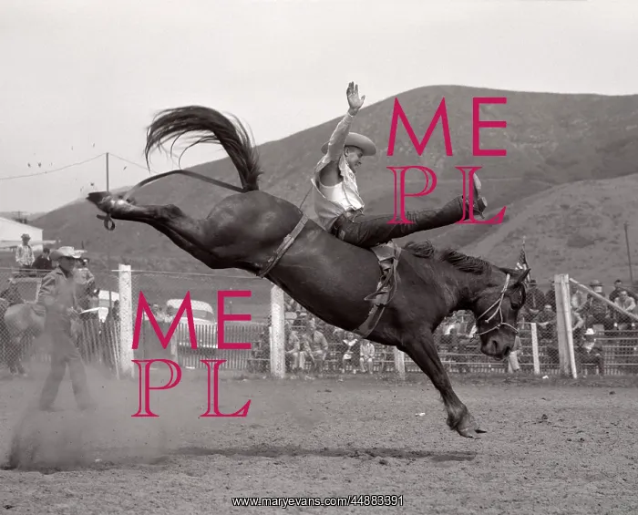 : 1950s Cowboy Bronco Buster Riding : 1950s Cowboy Bronco Buster Riding