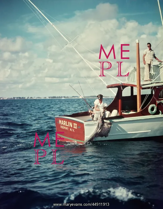 : 1950s deep sea fishing boat man pulling aboard : 1950s deep sea fishing boat man pulling aboard