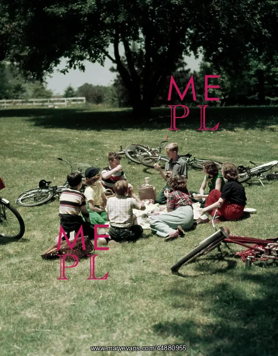 : 1950s Group 7 Teens Eating Picnic : 1950s Group 7 Teens Eating Picnic