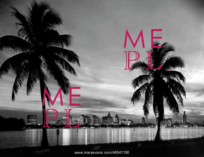  : 1950s Miami Florida Skyline At