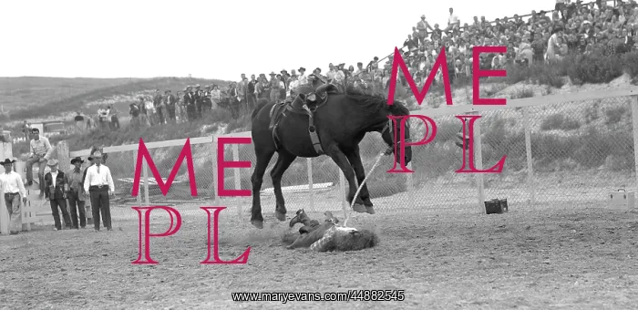 : 1950s Rodeo Cowboy On The Ground : 1950s Rodeo Cowboy On The Ground
