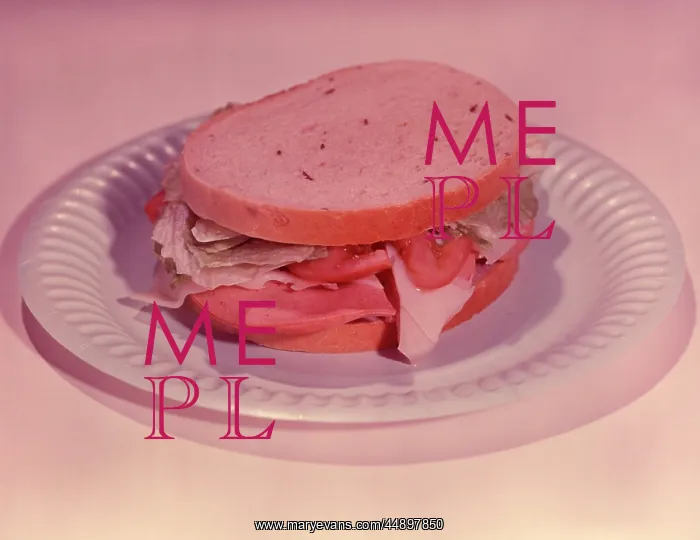 : 1950s Sandwich : 1950s Sandwich