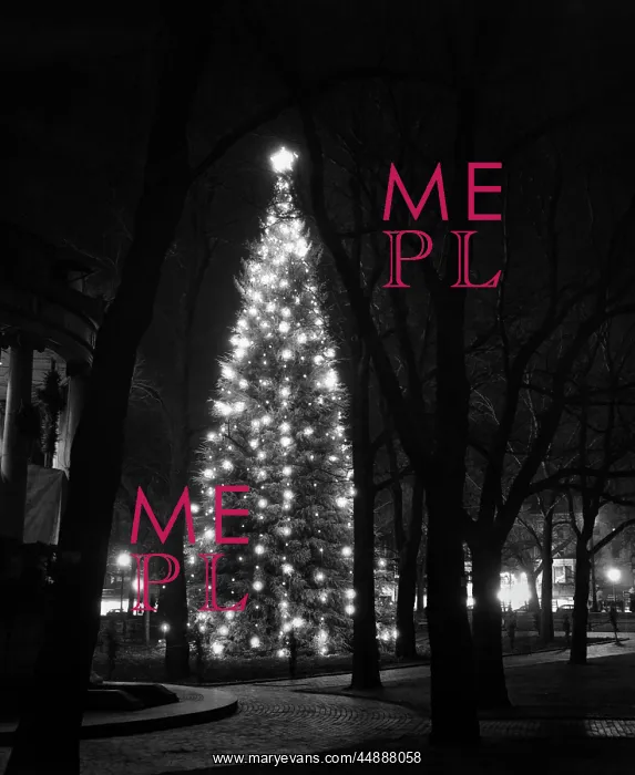 : 1950s Tall Christmas Tree Lit : 1950s Tall Christmas Tree Lit