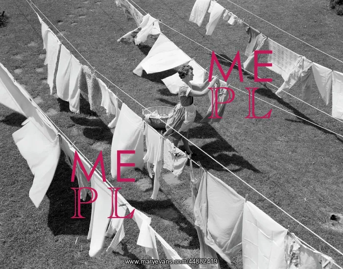  : 1950s Woman Hanging Laundry Outdoors
