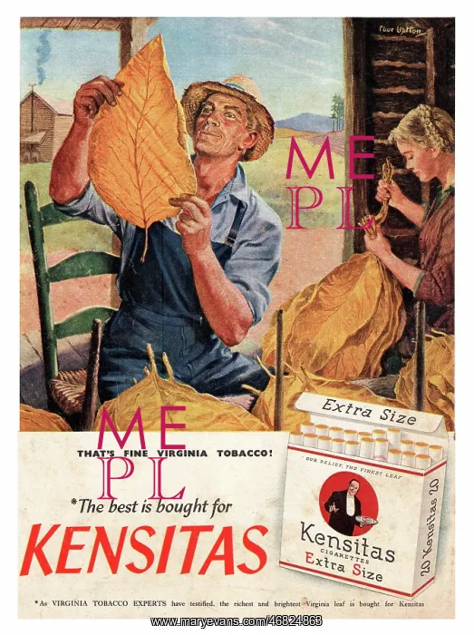 : 1951 UK ad Kensitas cigarettes : 1951 UK ad Kensitas cigarettes