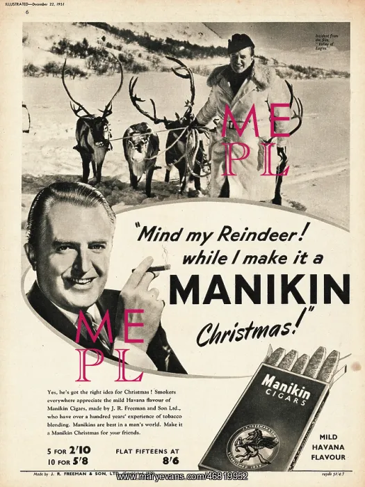 : 1951 UK advert Manikin cigars : 1951 UK advert Manikin cigars