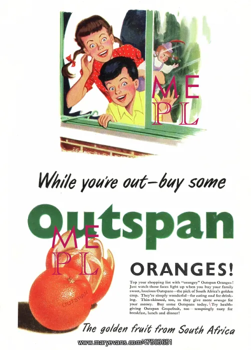 : 1951 UK advert Outspan oranges : 1951 UK advert Outspan oranges