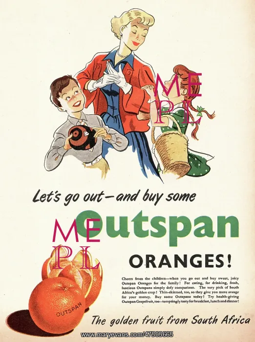 : 1951 UK advert Outspan oranges : 1951 UK advert Outspan oranges
