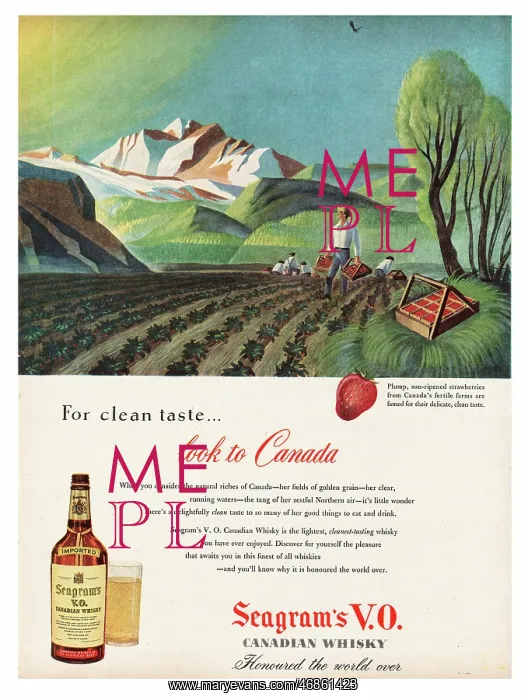 : 1951 U.S. Magazine Seagram's Whiskey Advert : 1951 U.S. Magazine Seagram's Whiskey Advert