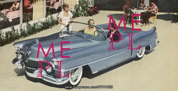  : 1953 Cadillac Le Mans