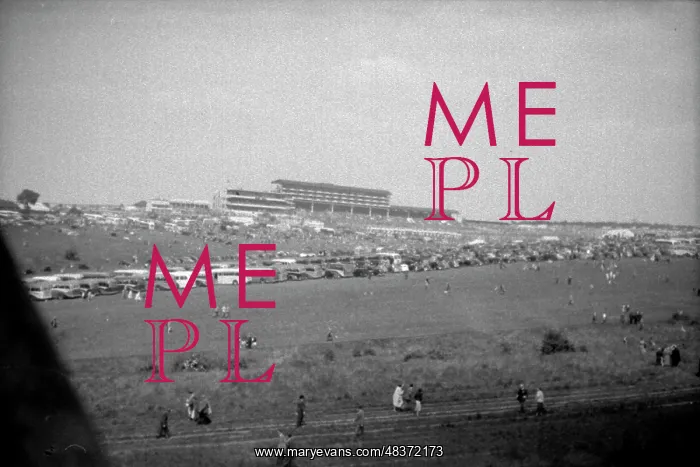 : 1953 Coronation Derby : 1953 Coronation Derby