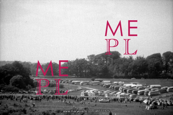 : 1953 Coronation Derby : 1953 Coronation Derby