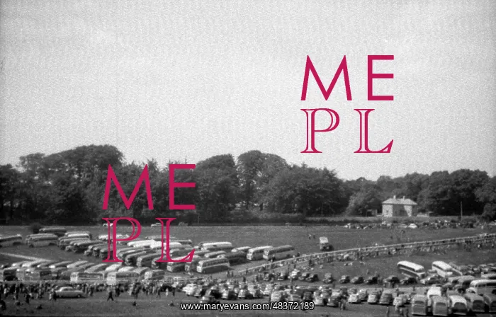 : 1953 Coronation Derby : 1953 Coronation Derby