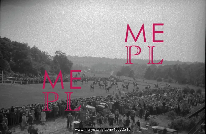 : 1953 Coronation Derby : 1953 Coronation Derby