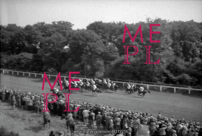 : 1953 Coronation Derby : 1953 Coronation Derby