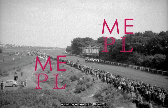: 1953 Coronation Derby : 1953 Coronation Derby