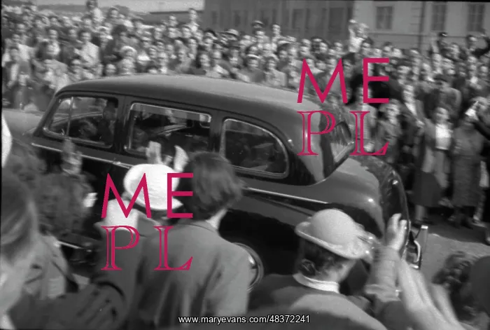 : 1953 Coronation Derby : 1953 Coronation Derby