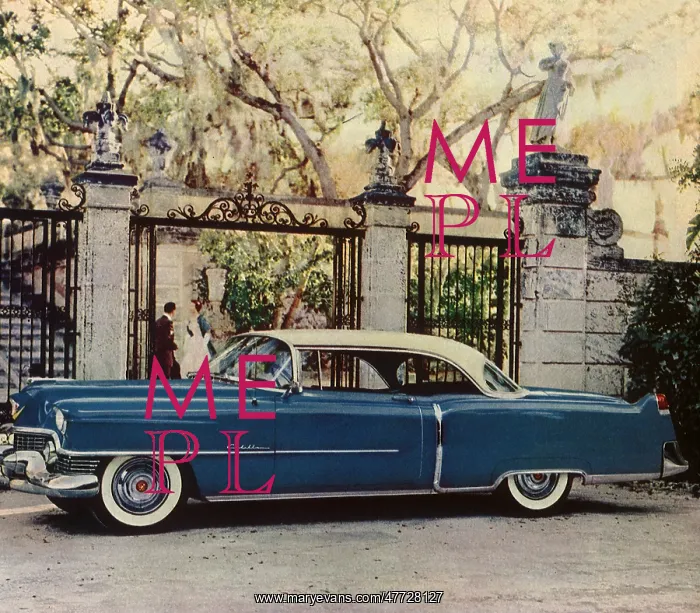 : 1954 Cadillac : 1954 Cadillac