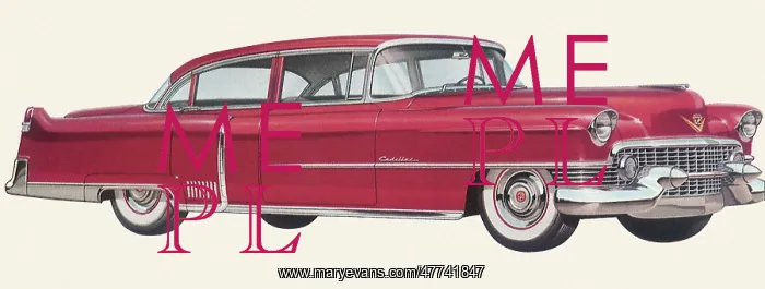  : 1954 Cadillac