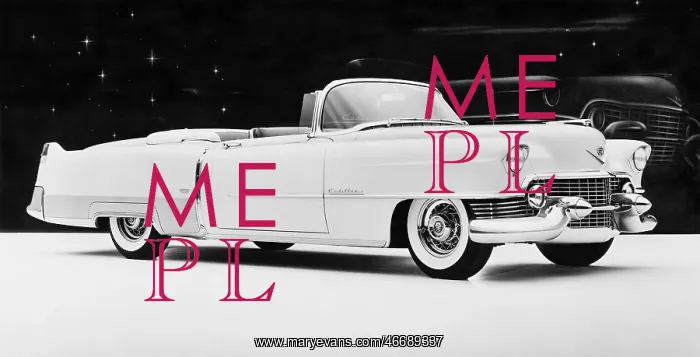 : 1954 Cadillac Eldorado : 1954 Cadillac Eldorado