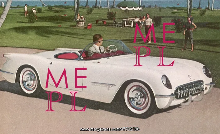 : 1954 Corvette : 1954 Corvette