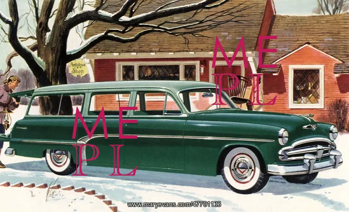  : 1954 Dodge Sierra Wagon