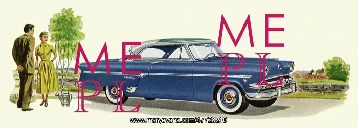  : 1954 Ford Skyliner