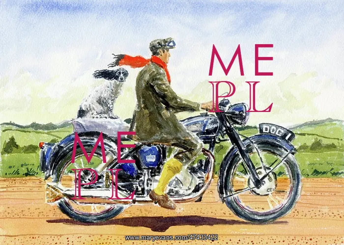  : 1954 Velocette