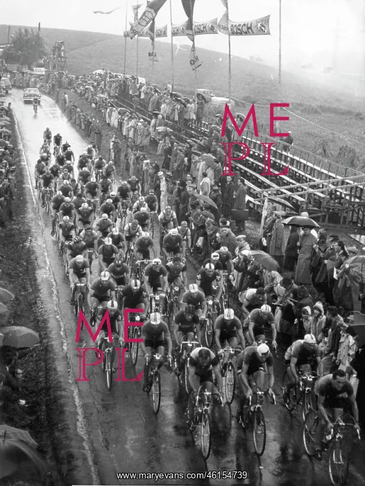 : 1954 World Bicycle Championship : 1954 World Bicycle Championship