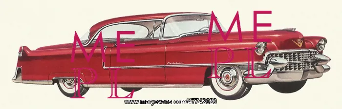 : 1955 Cadillac : 1955 Cadillac