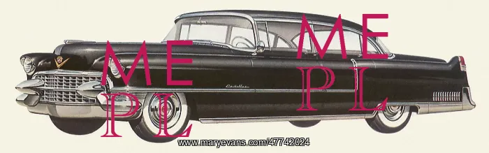 : 1955 Cadillac : 1955 Cadillac