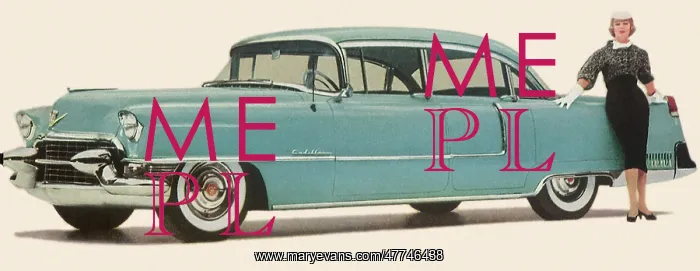 : 1955 Cadillac : 1955 Cadillac