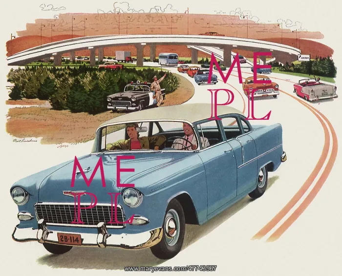 : 1955 Chevrolet : 1955 Chevrolet