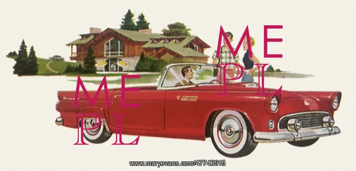 : 1955 Ford Thunderbird : 1955 Ford Thunderbird
