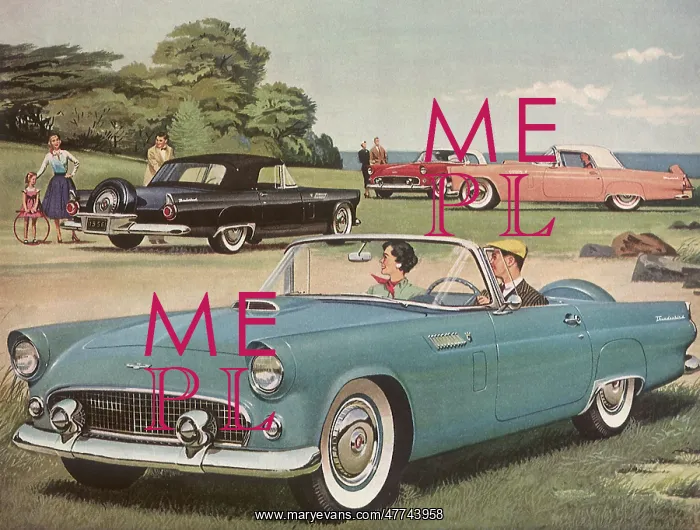 : 1956 Ford Thunderbird : 1956 Ford Thunderbird