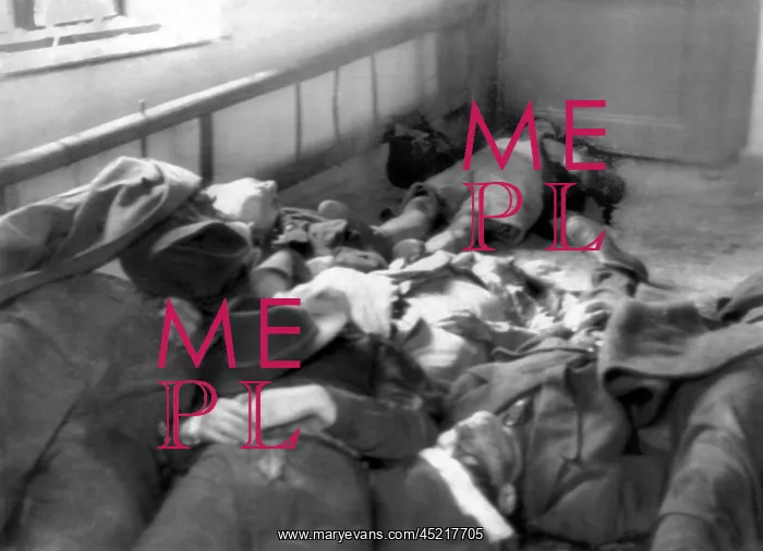 : The 1956 Hungarian Uprising. Bodies of some ? : The 1956 Hungarian Uprising. Bodies of some ?