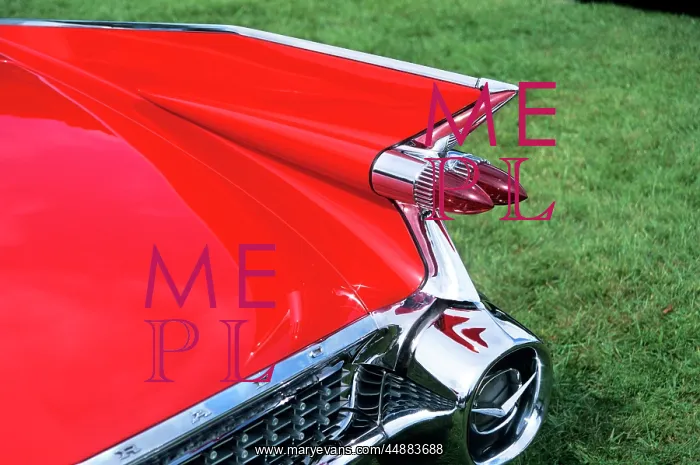  : 1959 Cadillac