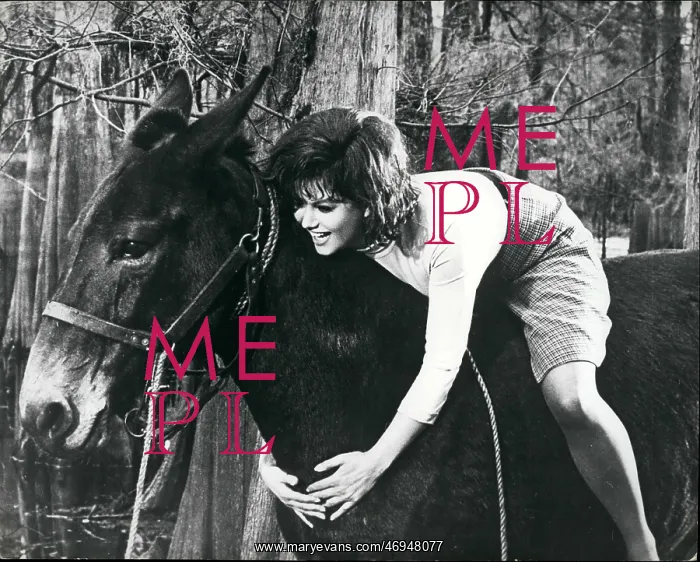 : 1960-1969 Actor - Actress : 1960-1969 Actor - Actress