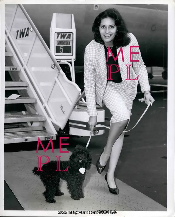 : 1960-1969 Actor - Actress : 1960-1969 Actor - Actress
