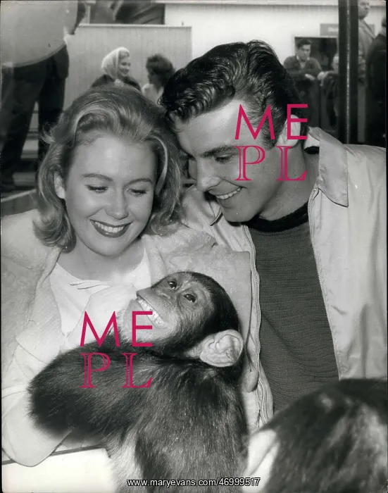 : 1960-1969 Actor - Actress : 1960-1969 Actor - Actress