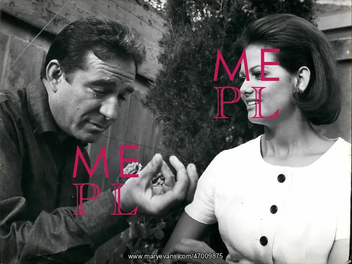 : 1960-1969 Actor - Actress : 1960-1969 Actor - Actress