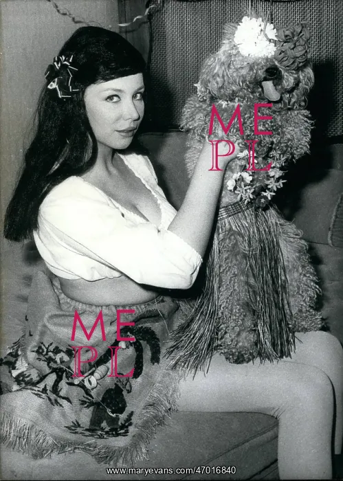 : 1960-1969 Actor - Actress : 1960-1969 Actor - Actress