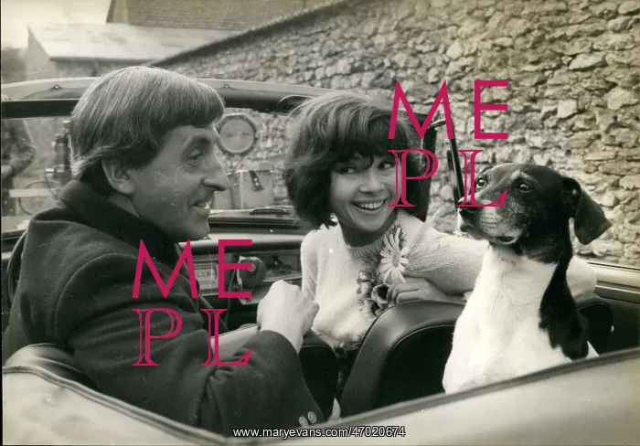 : 1960-1969 Actor - Actress : 1960-1969 Actor - Actress
