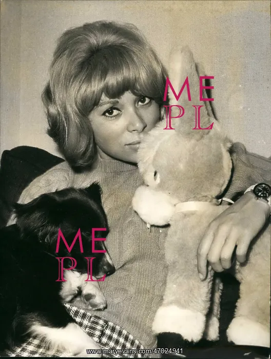 : 1960-1969 Actor - Actress : 1960-1969 Actor - Actress