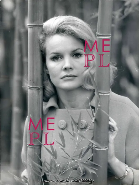 : 1960-1969 Actor - Actress : 1960-1969 Actor - Actress