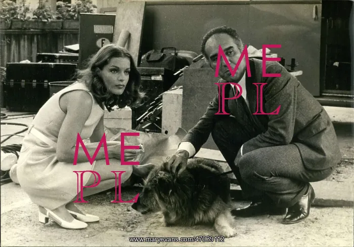 : 1960-1969 Actor - Actress : 1960-1969 Actor - Actress